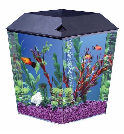 Gallon AquaView Diamond Shaped Fish Tank