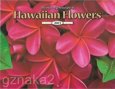 16 Month 2013 Hawaiian Flowers of Hawaii Wall Calendar 11/2012 to 02 