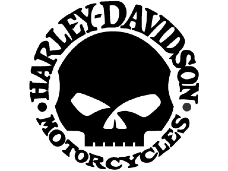 HARLEY DAVIDSON WILLY G SKULL   Motorcycle LARGE VINYL Sticker/Decal 
