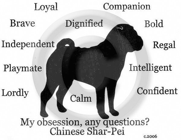 Chinese Shar Pei Dog Obsession? Tshirt  SALE Blue XXL only 