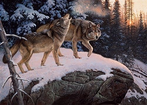 50009 Call Of The Wild Wolf 550 Pc Puzzle Artist Hayden Lambson Free 