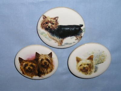 yorkshire terrier dog magnet set of 3 porcelain decal time