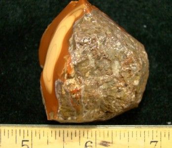 Bruneau Jasper Rough Grade AAA Orbed Classic Old Stock Cabs Specimen 