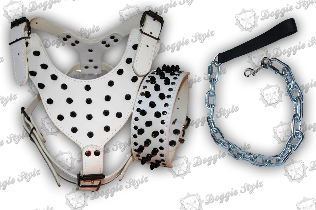 Dog Harness Collar Leash White Leather Combo Spikes Rottweiler Bully