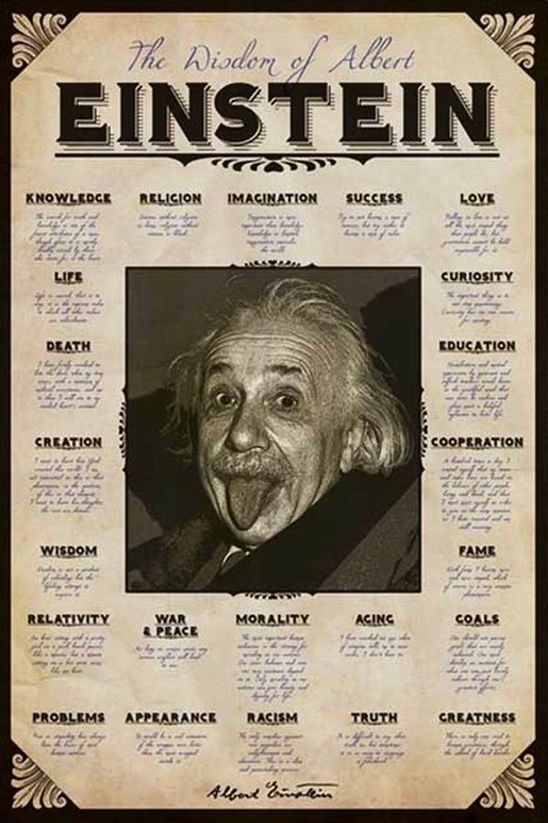 The Wisdom of Albert Einstein 23 of His Original Quotes Quality Poster