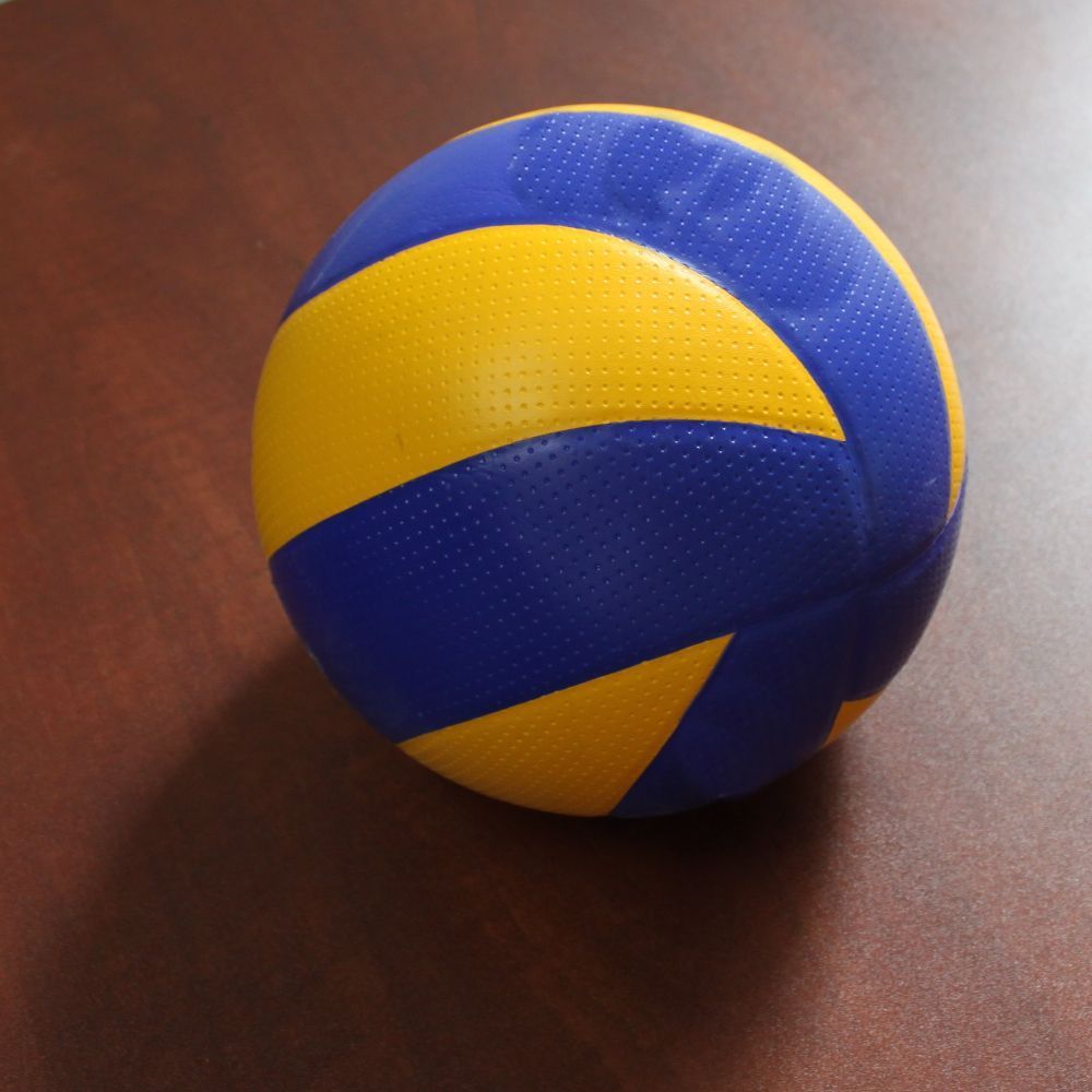  Official Size Volleyball Game Ball Indoor Soft Inflatable Ball