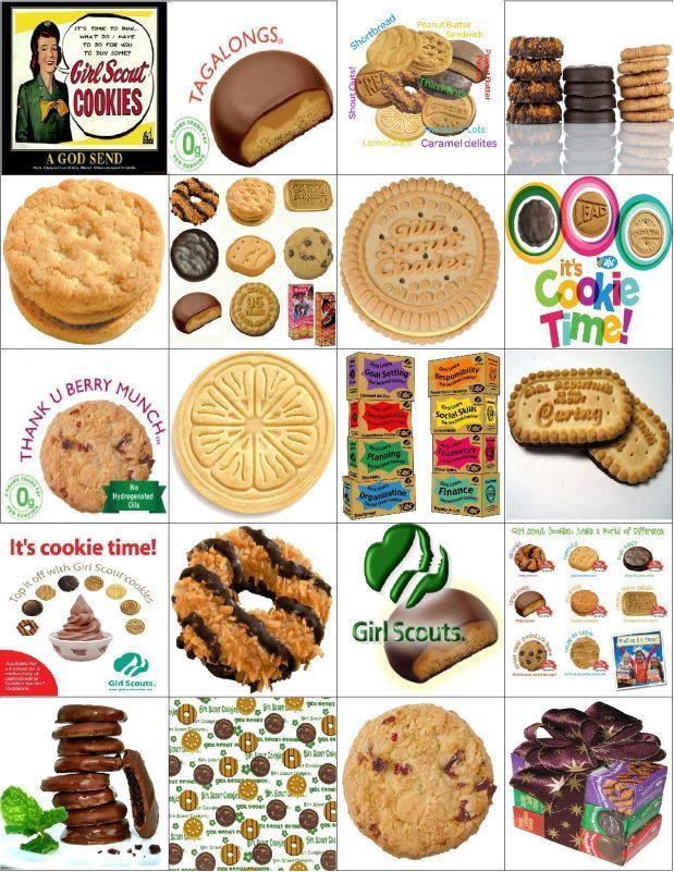 Girl Scout Cookie Photo Magnets 20pk So Cool Realistic Cool