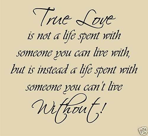 True Love Wall Quotes Words Verses Stickers New LQQK