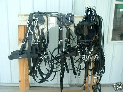 draft horse harness